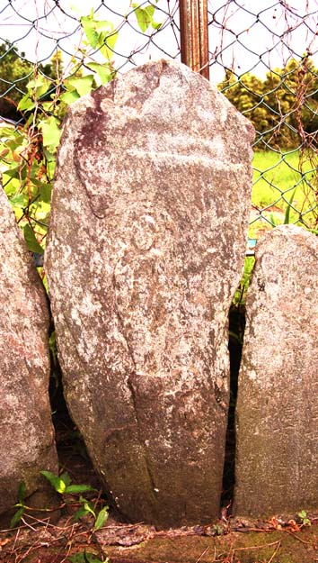 e0018762_937279.jpg