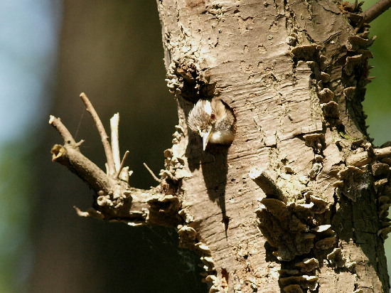 f0208666_105376.jpg