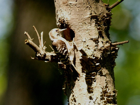 f0208666_10583221.jpg