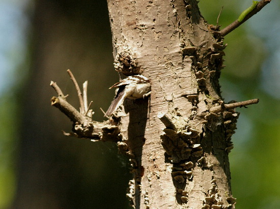 f0208666_1123436.jpg