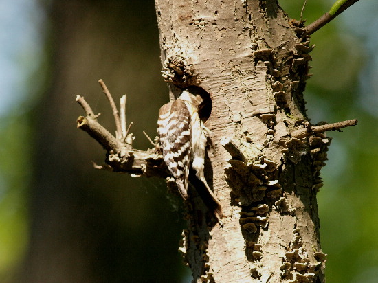 f0208666_11247.jpg