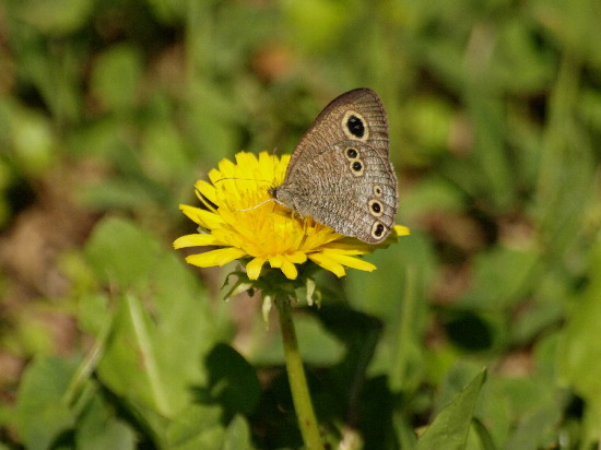 f0208666_1171380.jpg