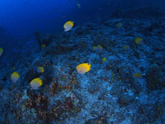 b0138768_2495087.jpg
