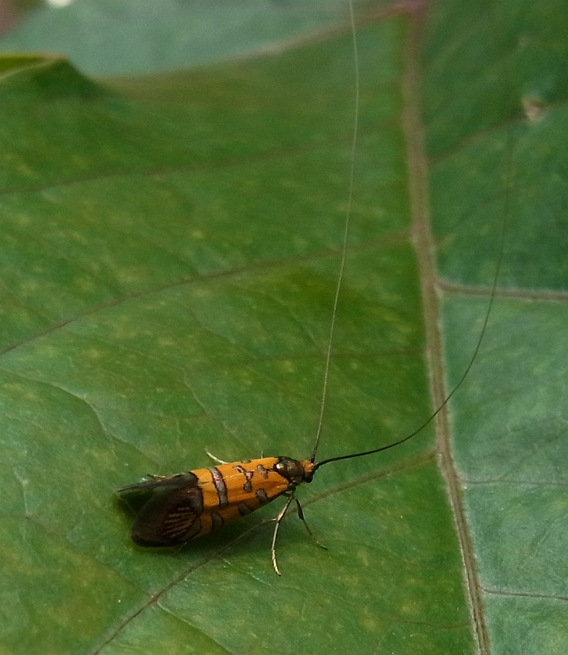 b0070071_5442019.jpg