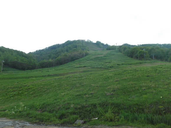 d0226187_9531646.jpg
