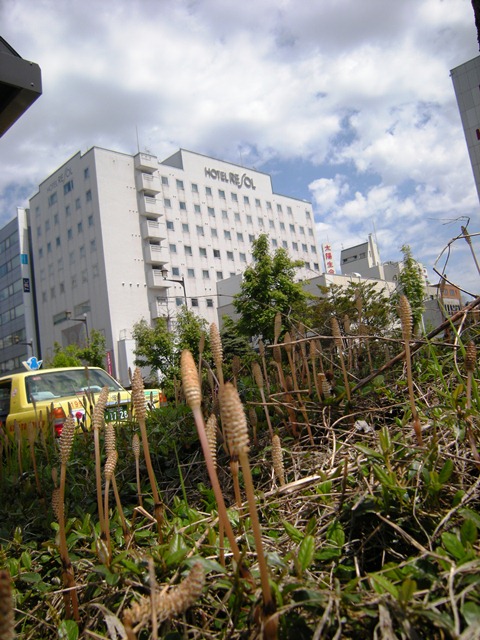 f0063887_0445365.jpg