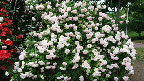 b0128589_11193777.jpg