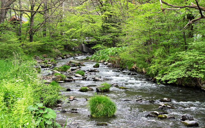 c0025895_065171.jpg