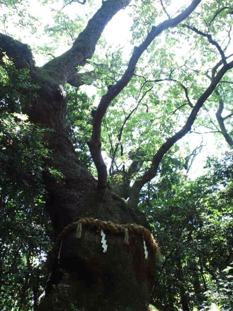 f0077595_4412915.jpg
