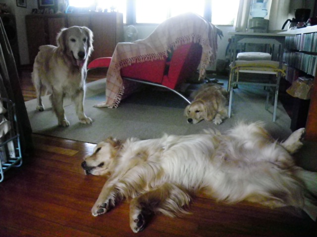 c0193396_14313814.jpg