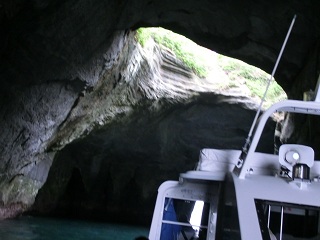 d0156797_038619.jpg