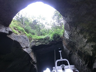 d0156797_0451540.jpg