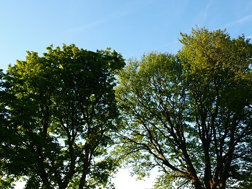 b0110999_4591683.jpg