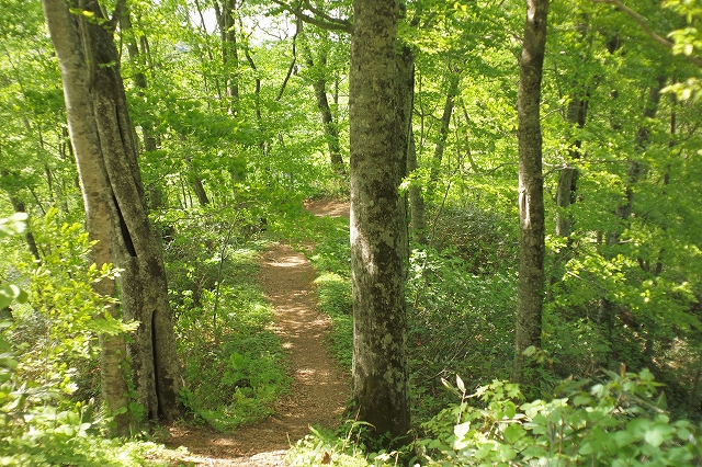 c0202705_1924945.jpg