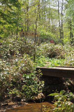 c0202705_1973516.jpg