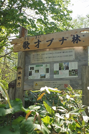 c0202705_197999.jpg
