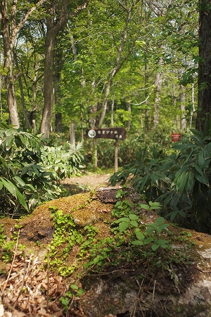 c0202705_1982290.jpg