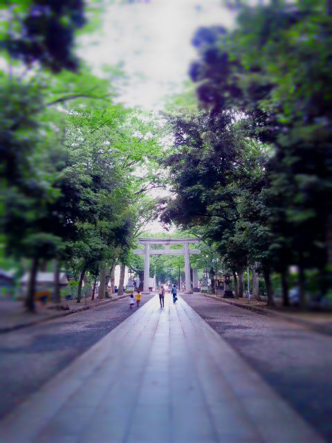 a0274308_1295187.jpg