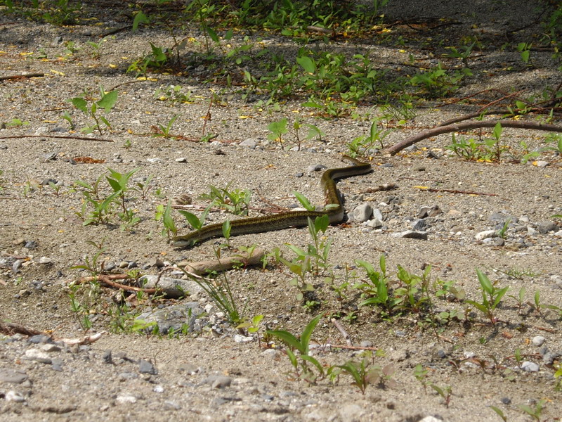 d0022918_20121561.jpg