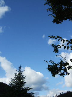 e0136420_12335.jpg
