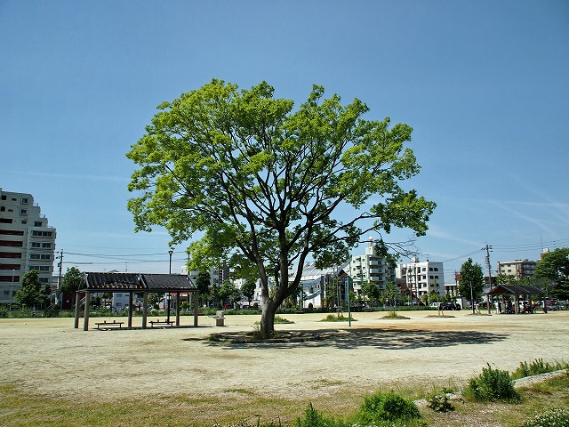 e0184921_141832.jpg