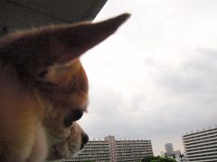 f0022024_19383738.jpg