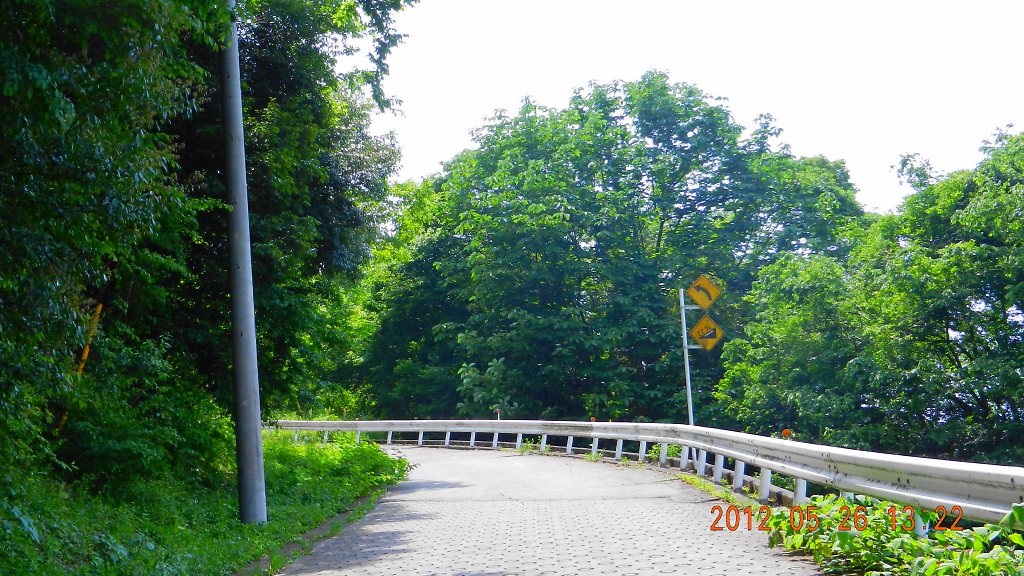 d0103632_17172959.jpg