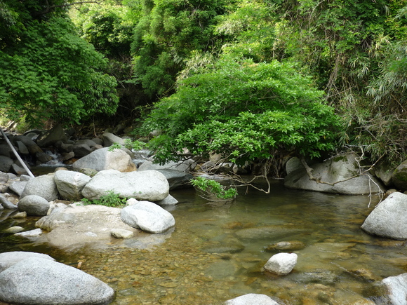a0272033_20531291.jpg