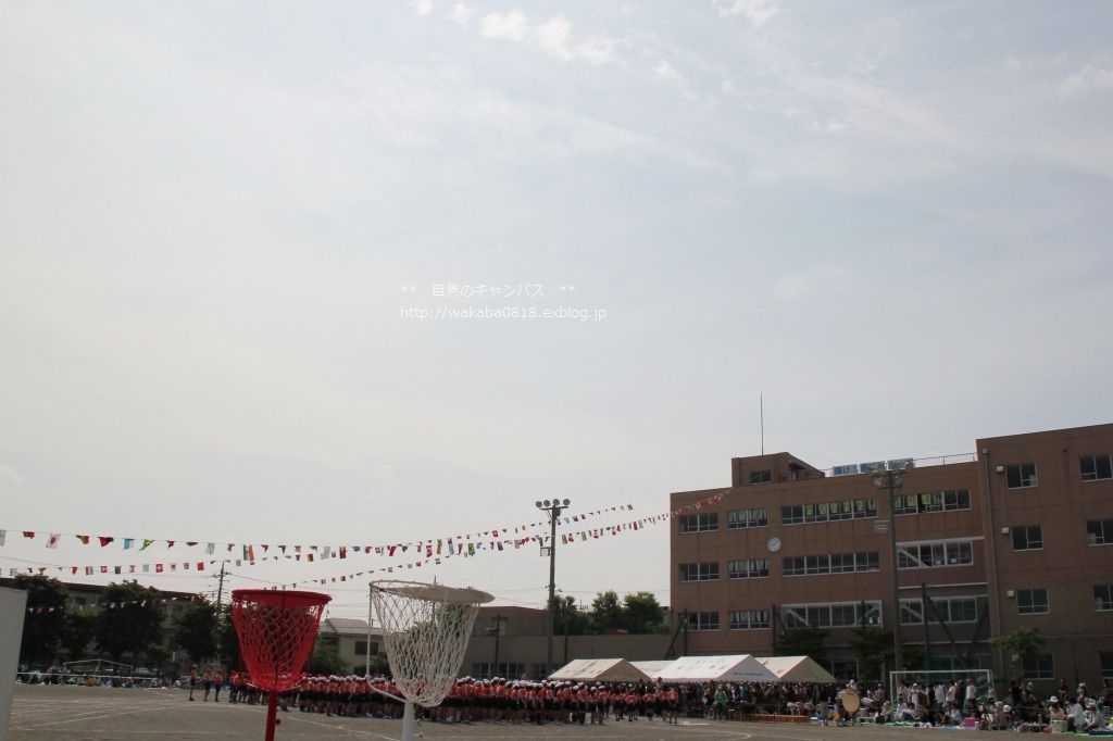 e0052135_22261228.jpg