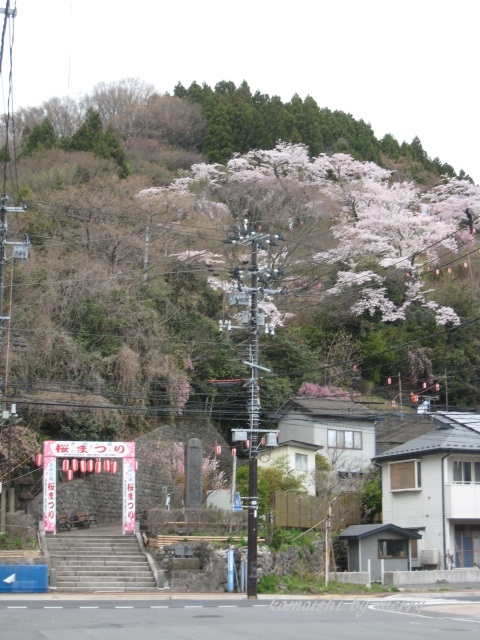 a0207736_0111666.jpg