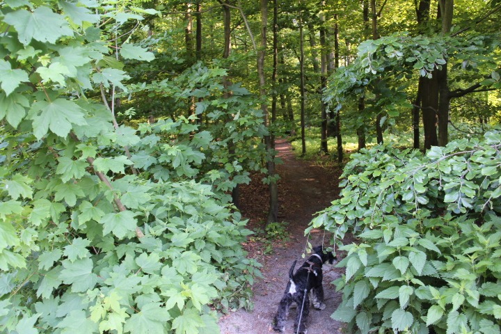 c0153740_233394.jpg