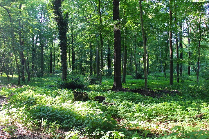 c0153740_2341570.jpg