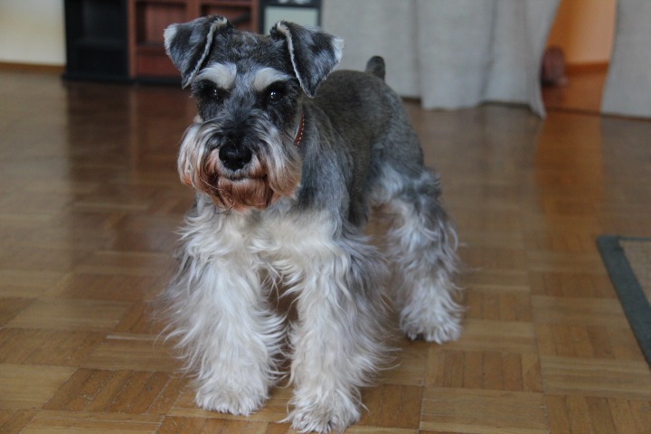 c0153740_2393991.jpg