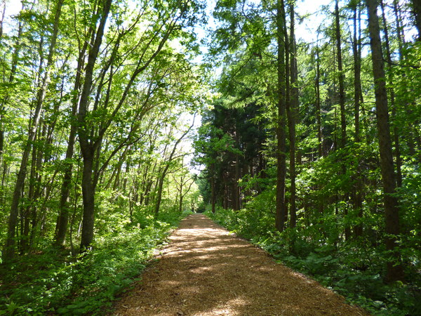 c0233141_15345460.jpg