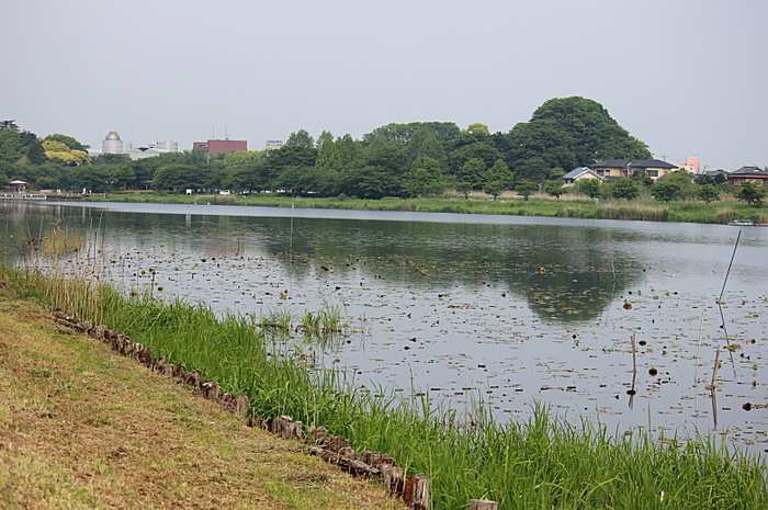 b0250154_7345824.jpg