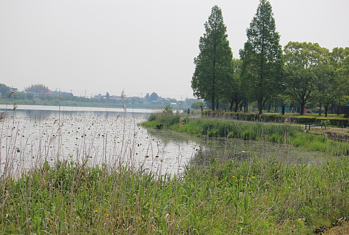 b0250154_7351114.jpg