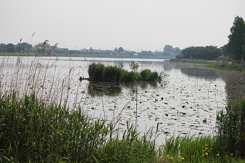 b0250154_7361157.jpg