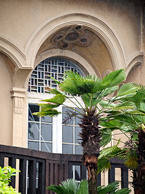 d0054855_9312463.jpg