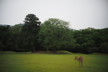 f0214858_13321157.jpg