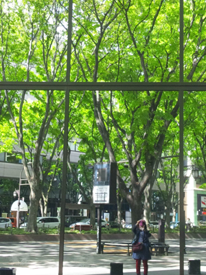 c0050264_2345733.jpg