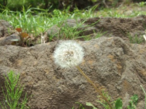 e0225164_16481145.jpg
