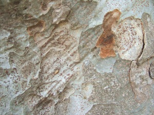 e0225164_16482452.jpg