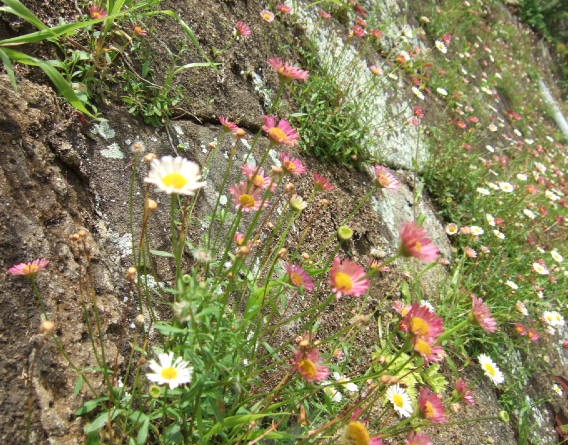 e0225164_16494829.jpg