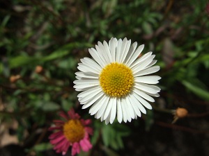 e0225164_1650857.jpg