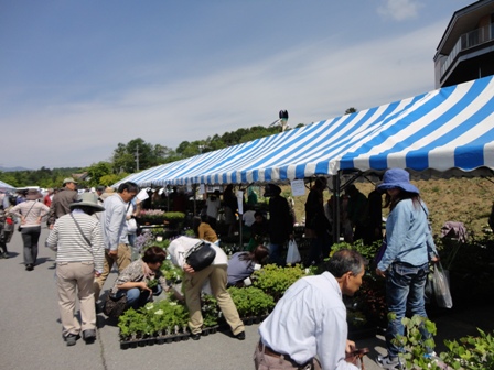d0152765_21172228.jpg