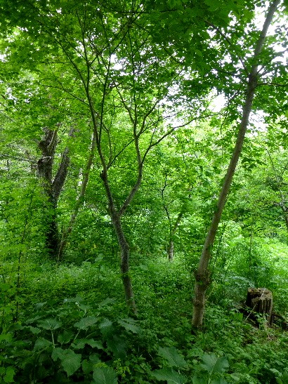 d0084473_21581849.jpg