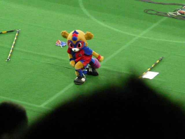 a0198883_23542363.jpg
