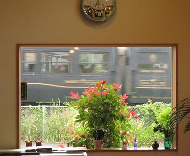 e0130185_1156550.jpg
