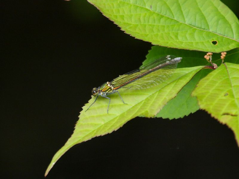 b0108186_23485740.jpg