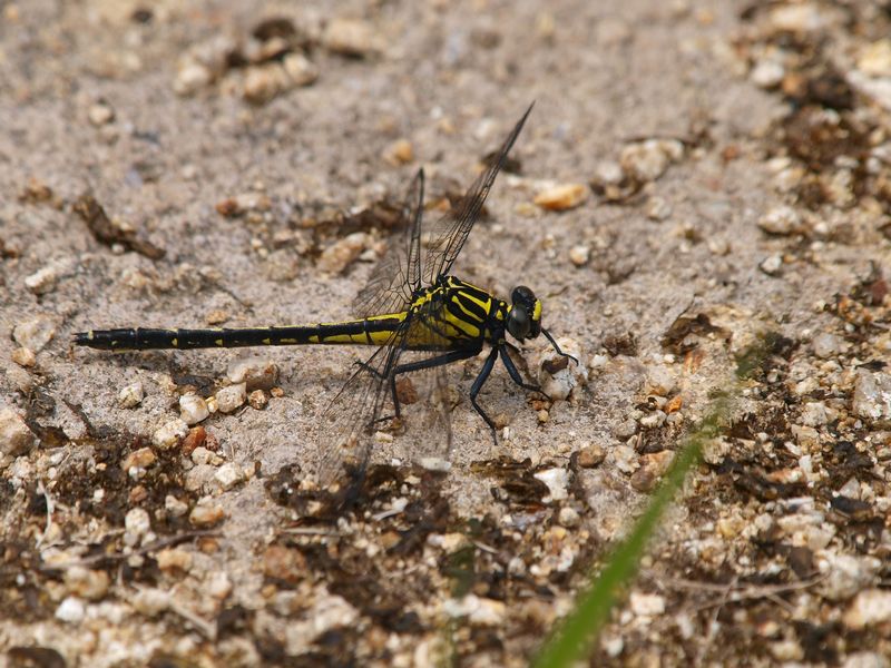 b0108186_23524827.jpg